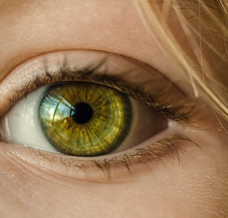 Oczy to wyjątkowy organ. To otóż to dzięki nim widzimy.
